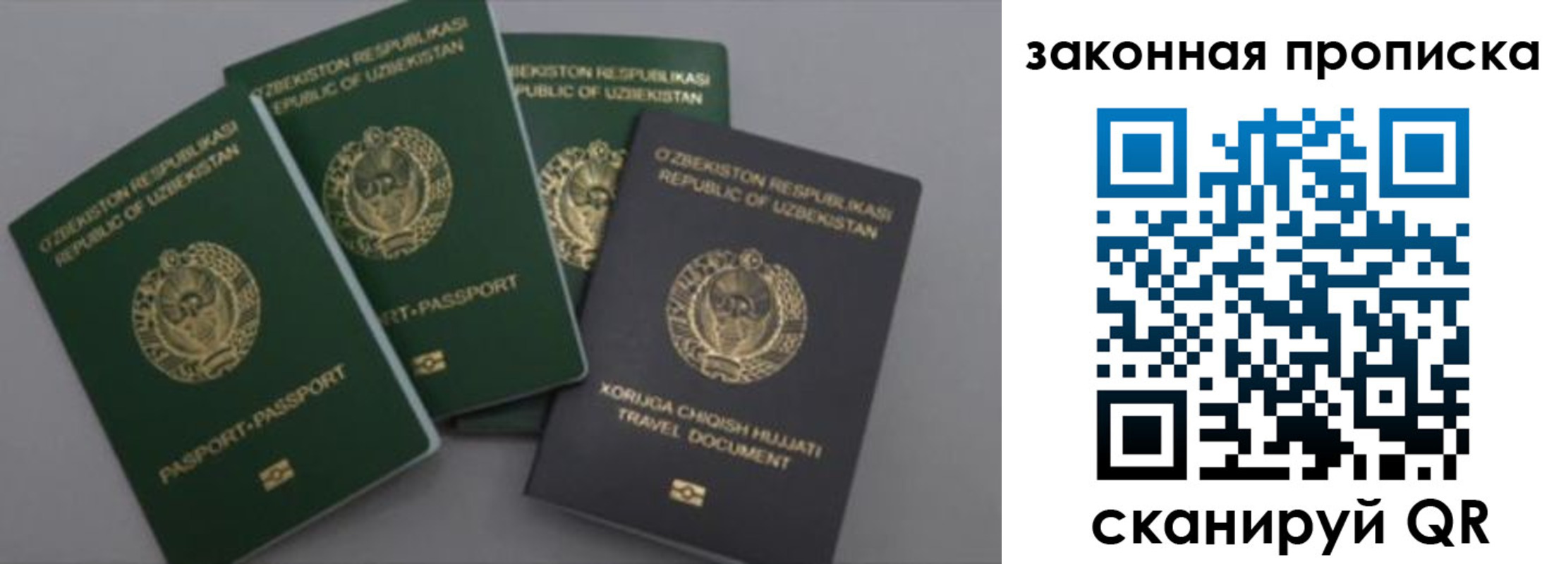 прописка законно в Зеленодольске